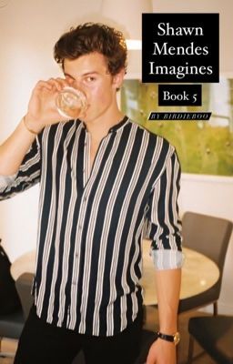 Shawn Mendes Imagines Part 5