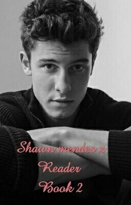 Shawn Mendes x Reader Book 2