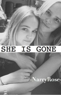 SHE IS GONE ( Vietnamese Oneshot )