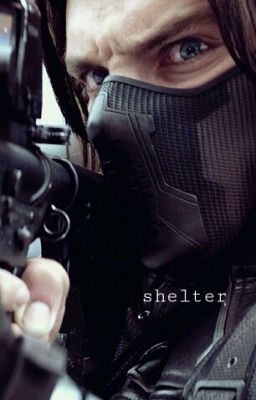 Shelter//Bucky Barnes