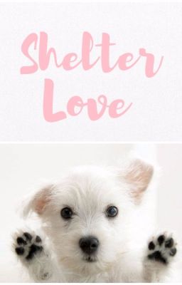 Shelter Love