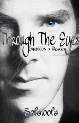 Sherlock x Reader: Through The Eyes