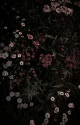 [ ShiGuang ]