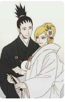 Shikatema love confession