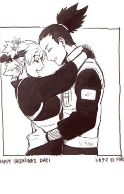 [Shikatema] Tình yêu hai ta