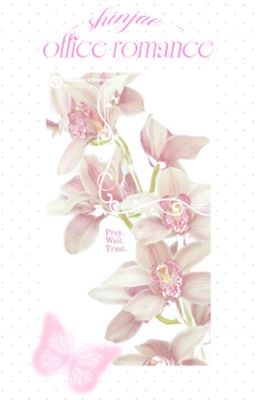 | shinjae | chuyện tình chốn công sở