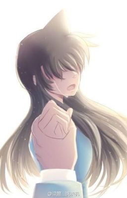 ( ShinRan ) Đặt dấu chấm hết ! Hai ta là người xa lạ từ đây