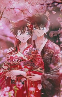 (ShinRan) Huyễn Ảnh Đạo Ca