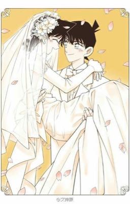 [ SHINRAN ] LY HÔN RỒI YÊU 