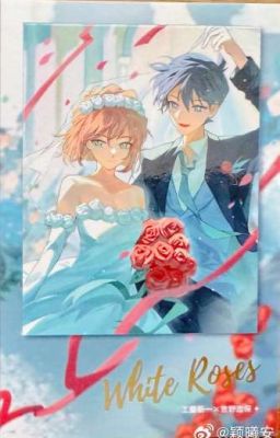 (SHINSHI) 100 CÂU HỎI 