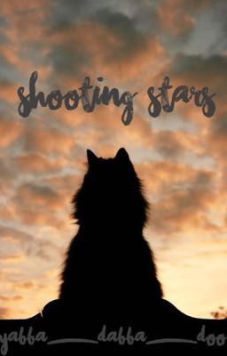 Shooting Stars- A Warriors Short Story