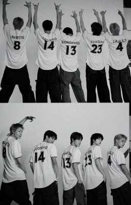 Short | Cortis - JoyRei 