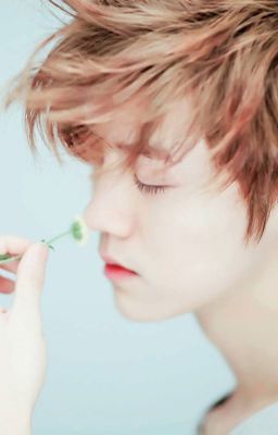 (Short fic)(Hoàn) HunHan Secret garden