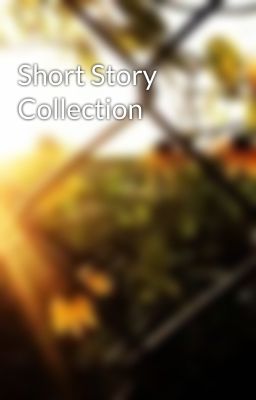 Short Story Collection