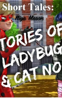 Short Tales: Stories of Ladybug & Cat Noir 