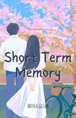 Short Term Memory √