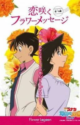 (Shortfic ShinRan) Cô bé hàng trà