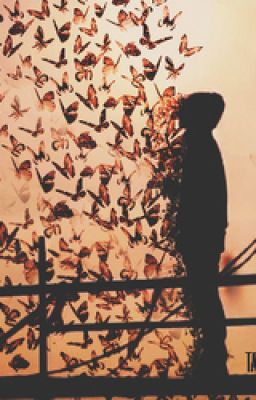 (shortfic- vkook) BUTTERFLY