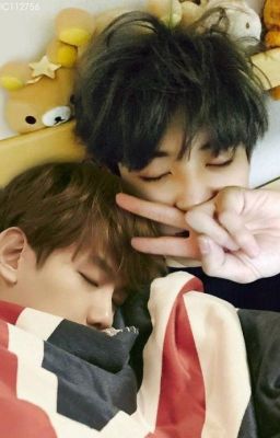 [Shotfic] [HE] [ChanBaek/HunHan] HỢP ĐỒNG OSIN