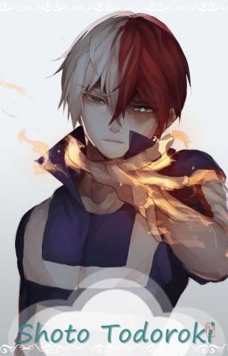 ~ Shoto Todoroki ♥ ~