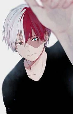 Shoto Todoroki x Broken/Emotionless Female Reader