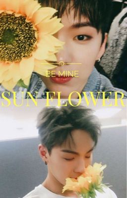 [ SHOWKI ] BE MY SUNFLOWER