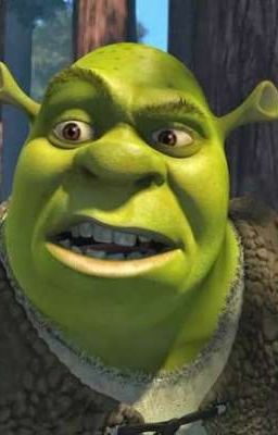 Shrek×reader