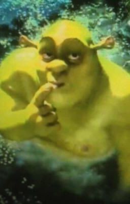 shrek x reader brownie kink (18+ smut)