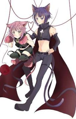 shugo Chara