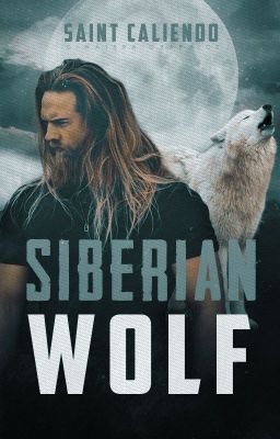 Siberian Wolf | ✓