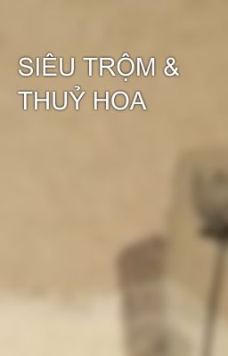 SIÊU TRỘM & THUỶ HOA