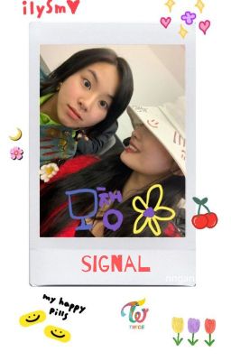 signal | twice