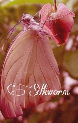 Silkworm 