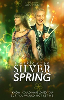 SILVER SPRING ─ Taylor Swift 