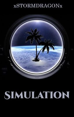 Simulation