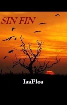 Sin Fin