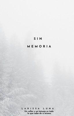 SIN MEMORIA.