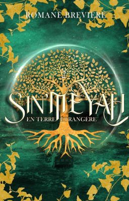 Sin'Meyah, Tome 2 : En terre étrangère