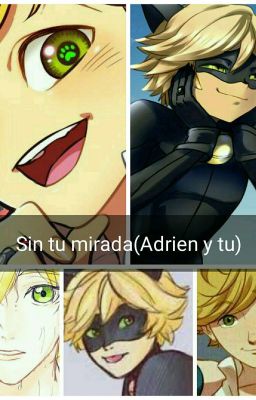 Sin tu mirada ( Adrien y tu)❤