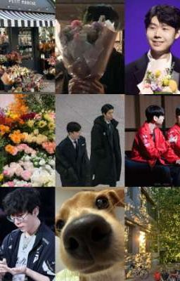 🌸Siwoo's Garden 🌷