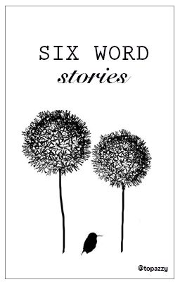 Six Word Stories