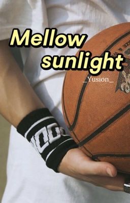 [SIYU/ YUSION] Mellow sunlight 