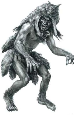 Skinwalker Facts and Encounter Stories