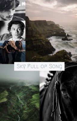 Sky Full Of Song