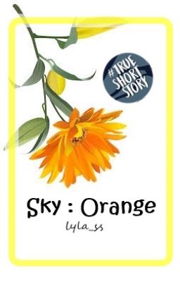 Sky : Orange