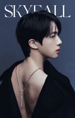 SKYFALL | NAMJIN