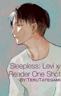 Sleepless: Levi x Reader One Shot