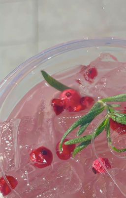 SLIDERICE || Transfic || 最佳搭档