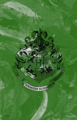 Slytherin Pride Mb/s