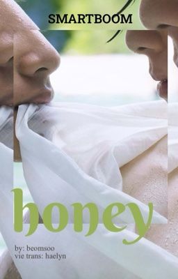 SmartBoom | Transfic | Honey (NC)